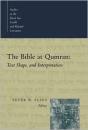 The Bible At Qumran - Preview