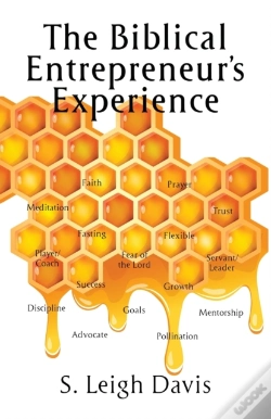 Capa do artigo The Biblical Entrepreneur'S Experience
