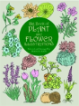 The Big Book Of Plant And Flower Illustrations - Preview