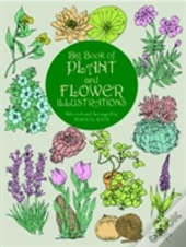 The Big Book Of Plant And Flower Illustrations