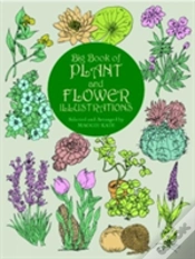 Capa do artigo The Big Book Of Plant And Flower Illustrations