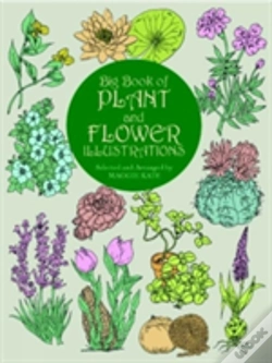 Capa do artigo The Big Book Of Plant And Flower Illustrations