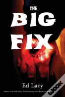 The Big Fix