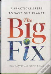 The Big Fix