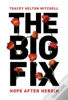 The Big Fix