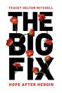 The Big Fix - Preview