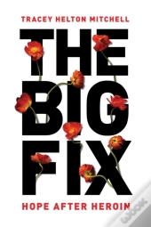 The Big Fix