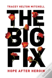 Capa do artigo The Big Fix