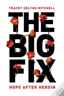 Capa do artigo The Big Fix