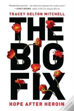 Capa do artigo The Big Fix