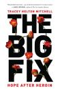The Big Fix - Preview