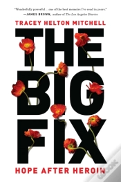 Capa do artigo The Big Fix