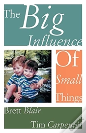 Capa do artigo The Big Influence Of Small Things