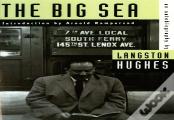 The Big Sea