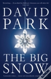 Capa do artigo The Big Snow