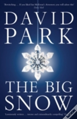 Capa do artigo The Big Snow