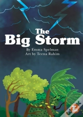 The Big Storm