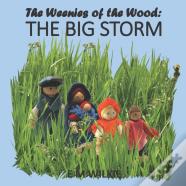 The Big Storm