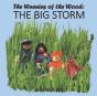 The Big Storm - Preview