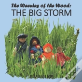 The Big Storm