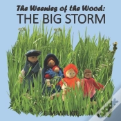 Capa do artigo The Big Storm
