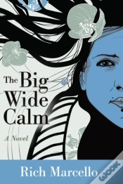 Capa do artigo The Big Wide Calm