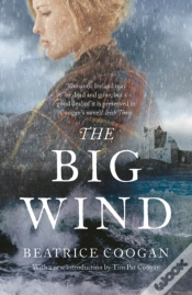 Capa do artigo The Big Wind