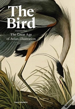 Capa do artigo The Bird