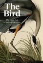 The Bird - Preview