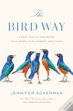 Capa do artigo The Bird Way