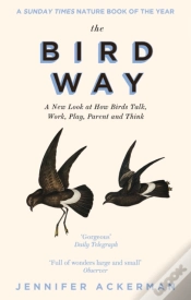 Capa do artigo The Bird Way