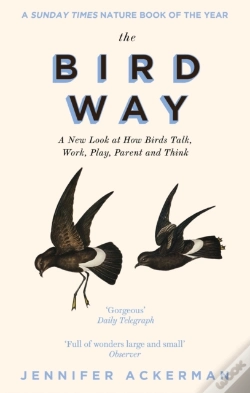 Capa do artigo The Bird Way