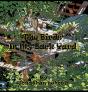 The Birds In My Back Yard - Preview