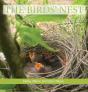 The Birds' Nest - Preview