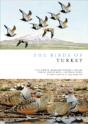 The Birds Of Turkey - Preview