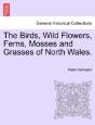 The Birds, Wild Flowers, Ferns, Mosses A - Preview