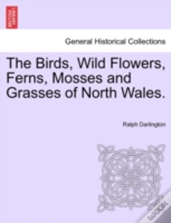 Capa do artigo The Birds, Wild Flowers, Ferns, Mosses A
