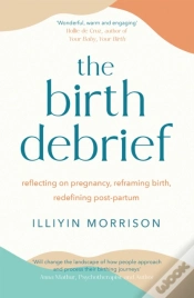 Capa do artigo The Birth Debrief