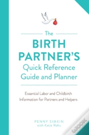 Capa do artigo The Birth Partner
