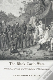 Capa do artigo The Black Carib Wars