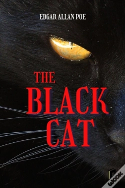 Capa do artigo The Black Cat