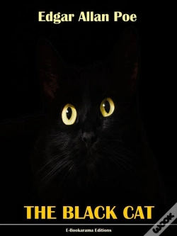 Capa do artigo The Black Cat