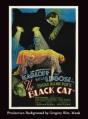 The Black Cat (Hardback) - Preview
