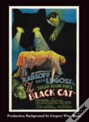 Capa do artigo The Black Cat (Hardback)