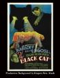 The Black Cat - Preview