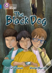 Capa do artigo The Black Dog