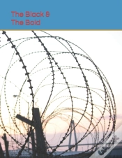 Capa do artigo The Black & The Bold