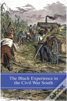 The Black Experience In The Civil War South