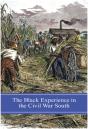 The Black Experience In The Civil War South - Preview