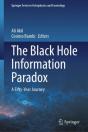 The Black Hole Information Paradox - Preview